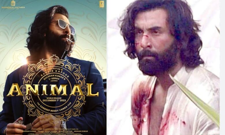 Animal Movie Teaser Release Date, Movie Release Date