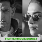 Fighter Movie Budget