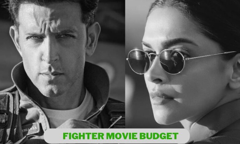 Fighter Movie Budget